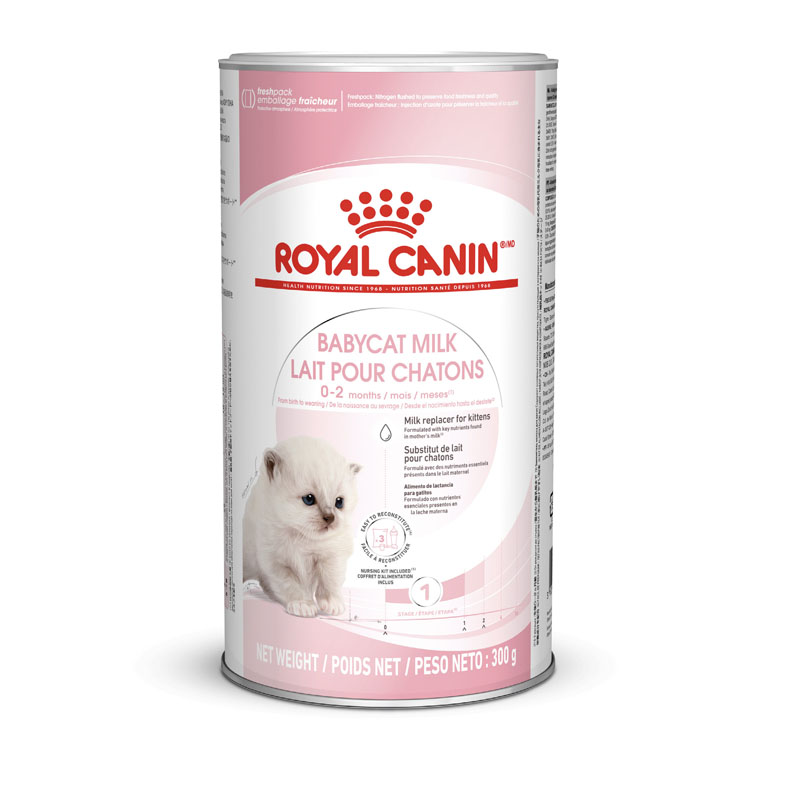 Royal canin BABY CAT MILK 300g นมสำหรับลูกแมว