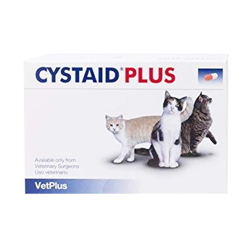 Cystaid 30 เม็ด วิตามินบำรุงระบบปัสสาวะสำหรับแมว