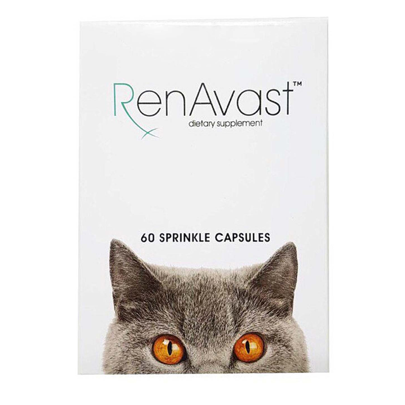 Renavast วิตามินบำรุงไตแมว 60 เม็ด