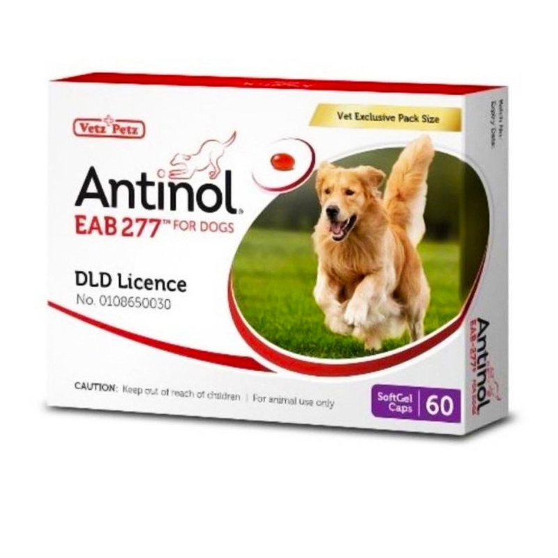 Antinol DOG วิตามินบำรุงข้อสุนัข 60 เม็ด