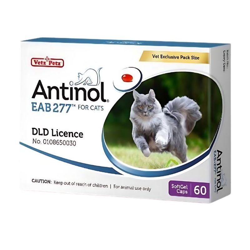 Antinol CAT วิตามินบำรุงข้อแมว 60 เม็ด