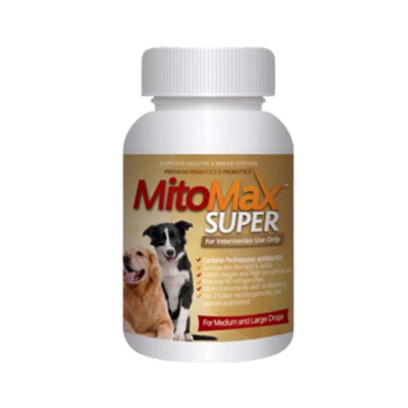 Mitomax Super for Medium and large dogs (30Tabs) อาหารเสริม สุนัขช่วยในระบบย่อยอาหาร