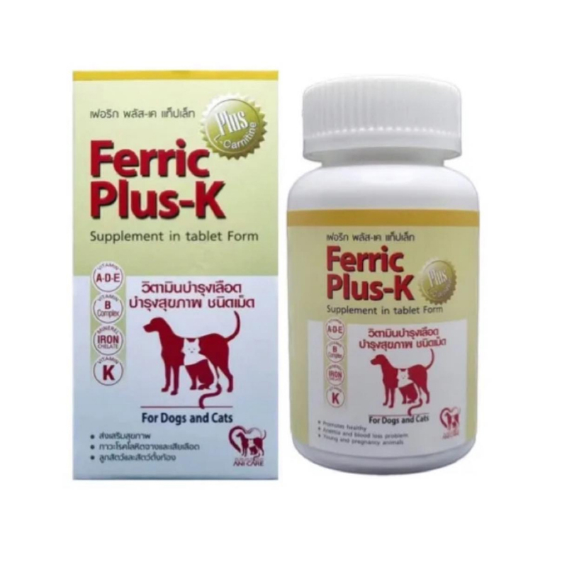 Ferric Plus - K 40 เม็ด วิตามินบำรุงเลือด แบบเม็ด