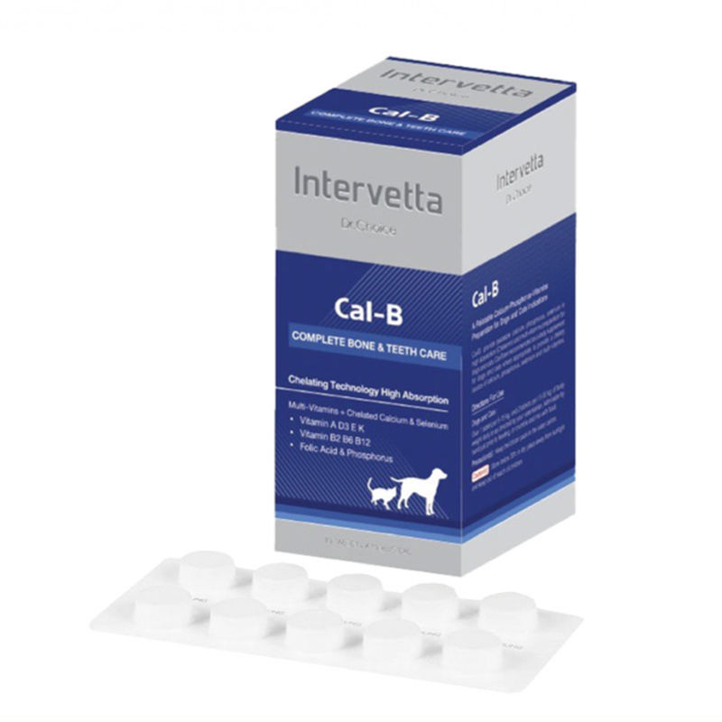 Dr.Choice Cal-B 100 เม็ด แคลเซียมบำรุงกระดูกและฟันสุนัขและแมว