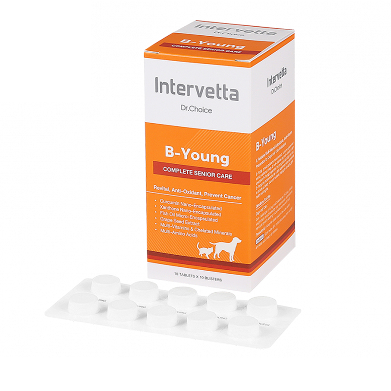Dr.choice B-Young 100 เม็ด วิตามินดูแลร่างกายสัตว์สูงวัย ชะลอความชรา