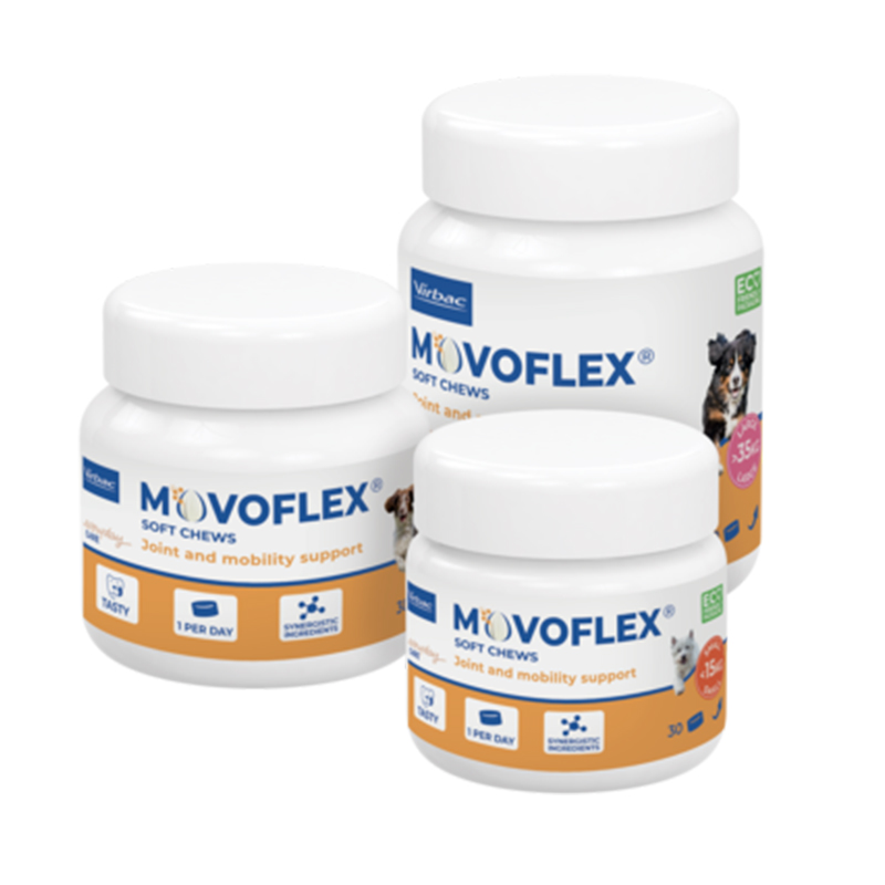 Virbac Movoflex  - ผลิตภัณฑ์เม็ดเคี้ยวดูแลข้อต่อของสุนัข [โมโวเฟล็กซ์ - 30 เม็ด]