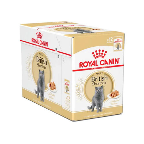 Royal Canin British pouch 12 ซอง อาหารเปียกแมวบริทิช