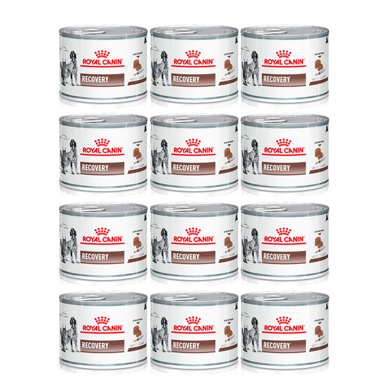 (12กระป๋อง) Royal canin VET recovery 195g อาหารเปียกสัตว์ป่วย พักฟื้น