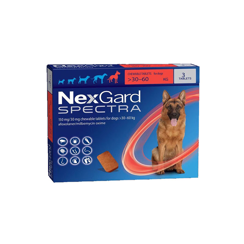 (3เม็ด) Nexgard spectra 30-60 Kg เม็ดเคี้ยวป้องกันและกำจัดเห็บ หมัด พยาธิ ภายใน 12 ชนิด