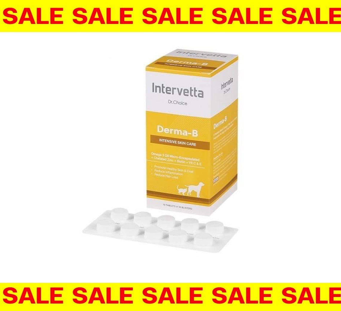 (exp.23-8-26) Dr.choice  Derma - B 100 เม็ด วิตามินบำรุงขน รักษาโรคผิวหนังสำหรับสุนัขและแมว