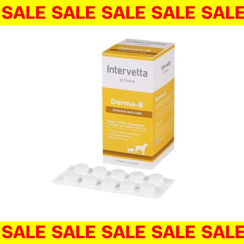 sale[EXP4/10/2025] Dr.choice  Derma - B 100 เม็ด วิตามินบำรุงขน รักษาโรคผิวหนังสำหรับสุนัขและแมว