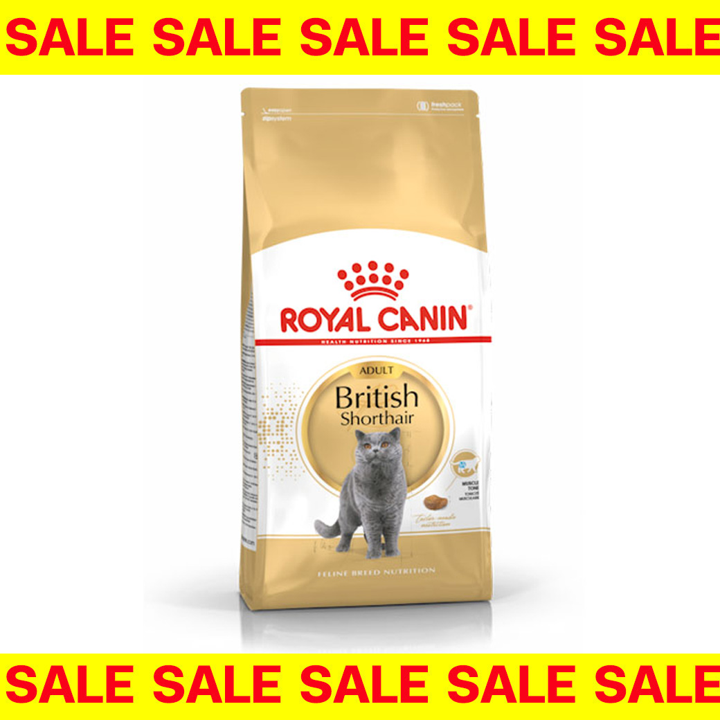 [Exp.13/11/2025] Royal canin British Adult 400g อาหารแมวโตพันธุ์บริทิชช็อตแฮร์