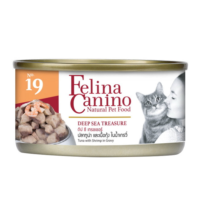 Felina Canino 70 กรัม อาหารเปียกสำหรับแมว ชิ้นเนื้อเน้นๆ คุ้มค่า ราคาถูก