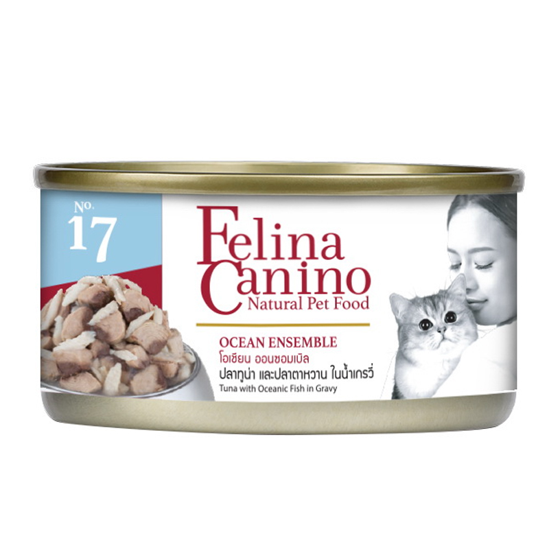 Felina Canino 70 กรัม อาหารเปียกสำหรับแมว ชิ้นเนื้อเน้นๆ คุ้มค่า ราคาถูก